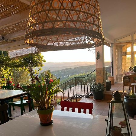 El Nispero Dulce Bed & Breakfast Alcaucín Dış mekan fotoğraf