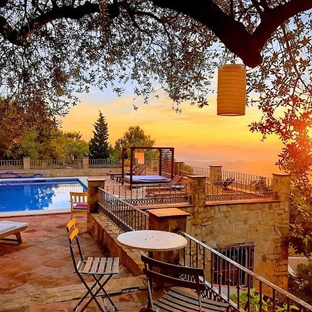 El Nispero Dulce Bed & Breakfast Alcaucín Dış mekan fotoğraf