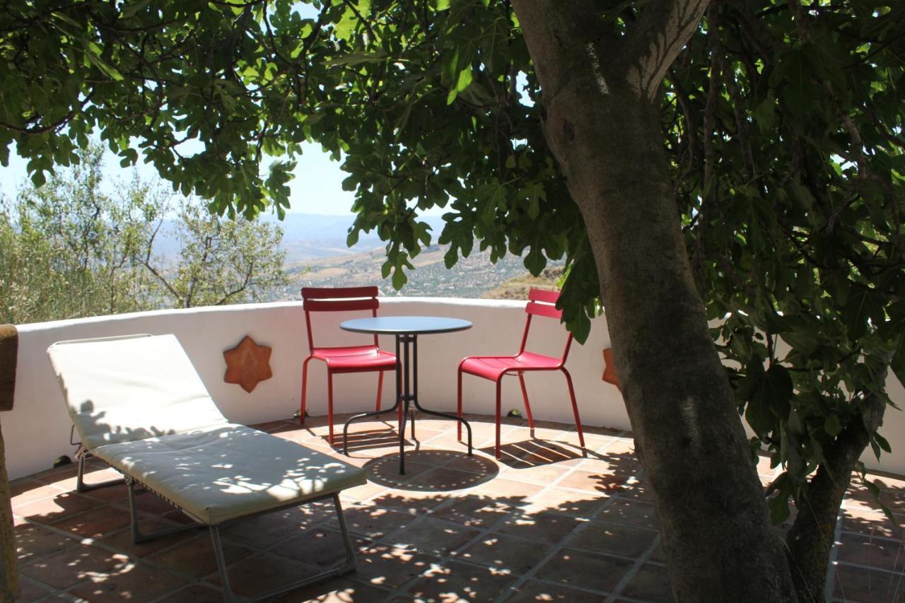 El Nispero Dulce Bed & Breakfast Alcaucín Dış mekan fotoğraf