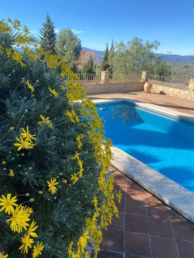 El Nispero Dulce Bed & Breakfast Alcaucín Dış mekan fotoğraf