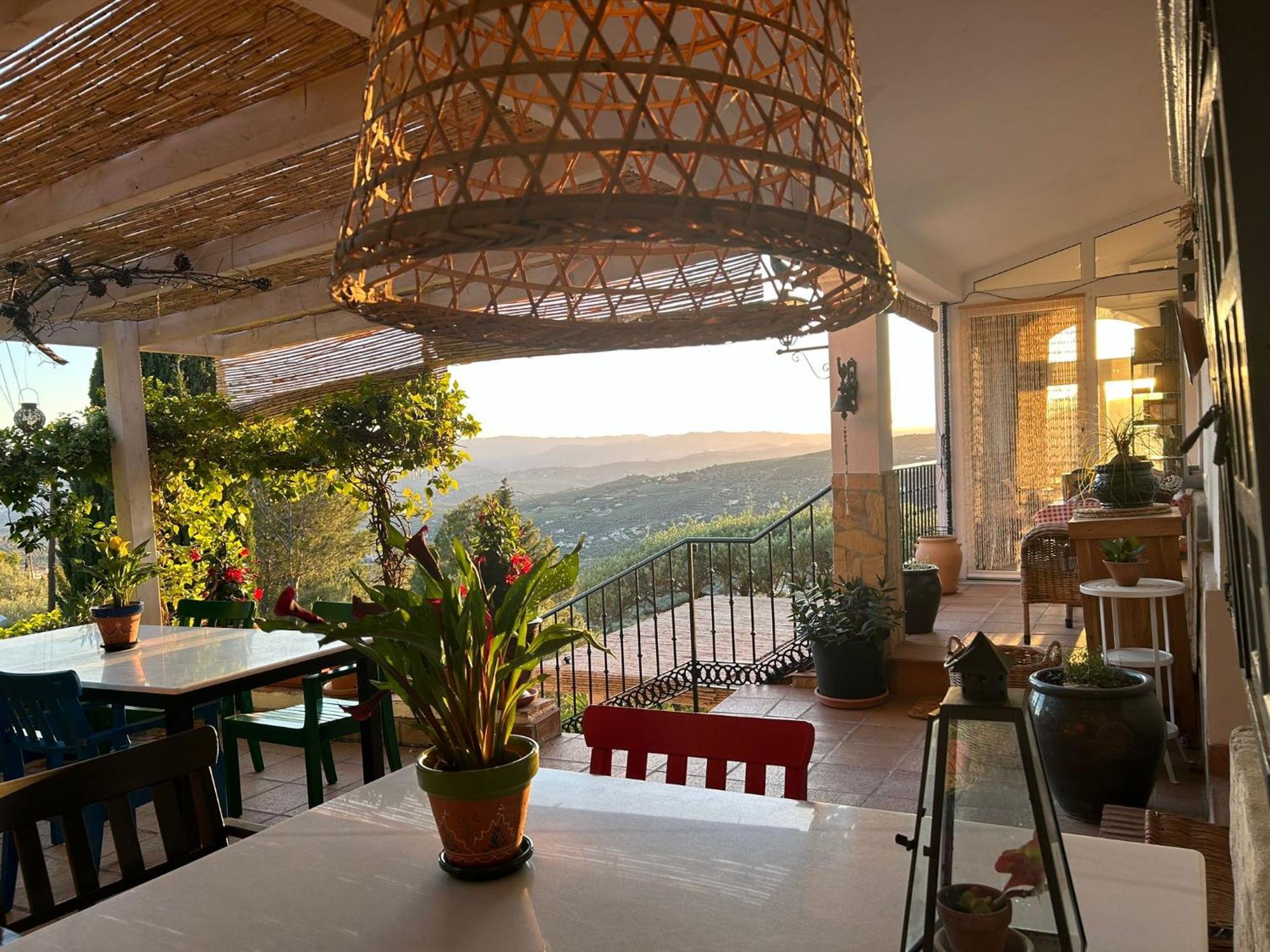 El Nispero Dulce Bed & Breakfast Alcaucín Dış mekan fotoğraf