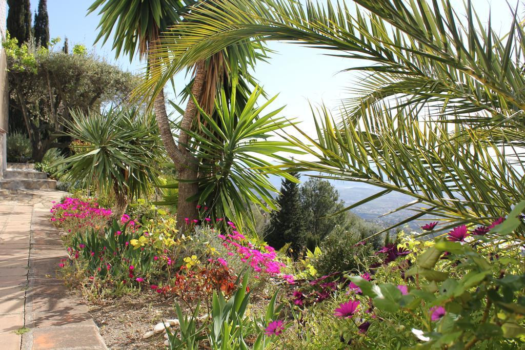 El Nispero Dulce Bed & Breakfast Alcaucín Dış mekan fotoğraf