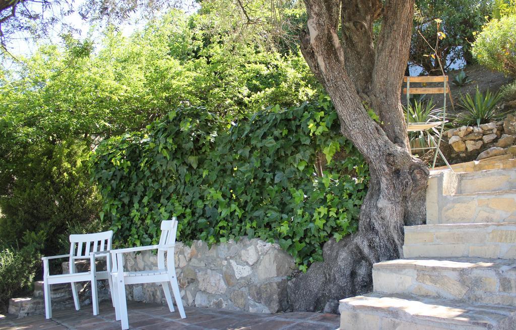 El Nispero Dulce Bed & Breakfast Alcaucín Dış mekan fotoğraf
